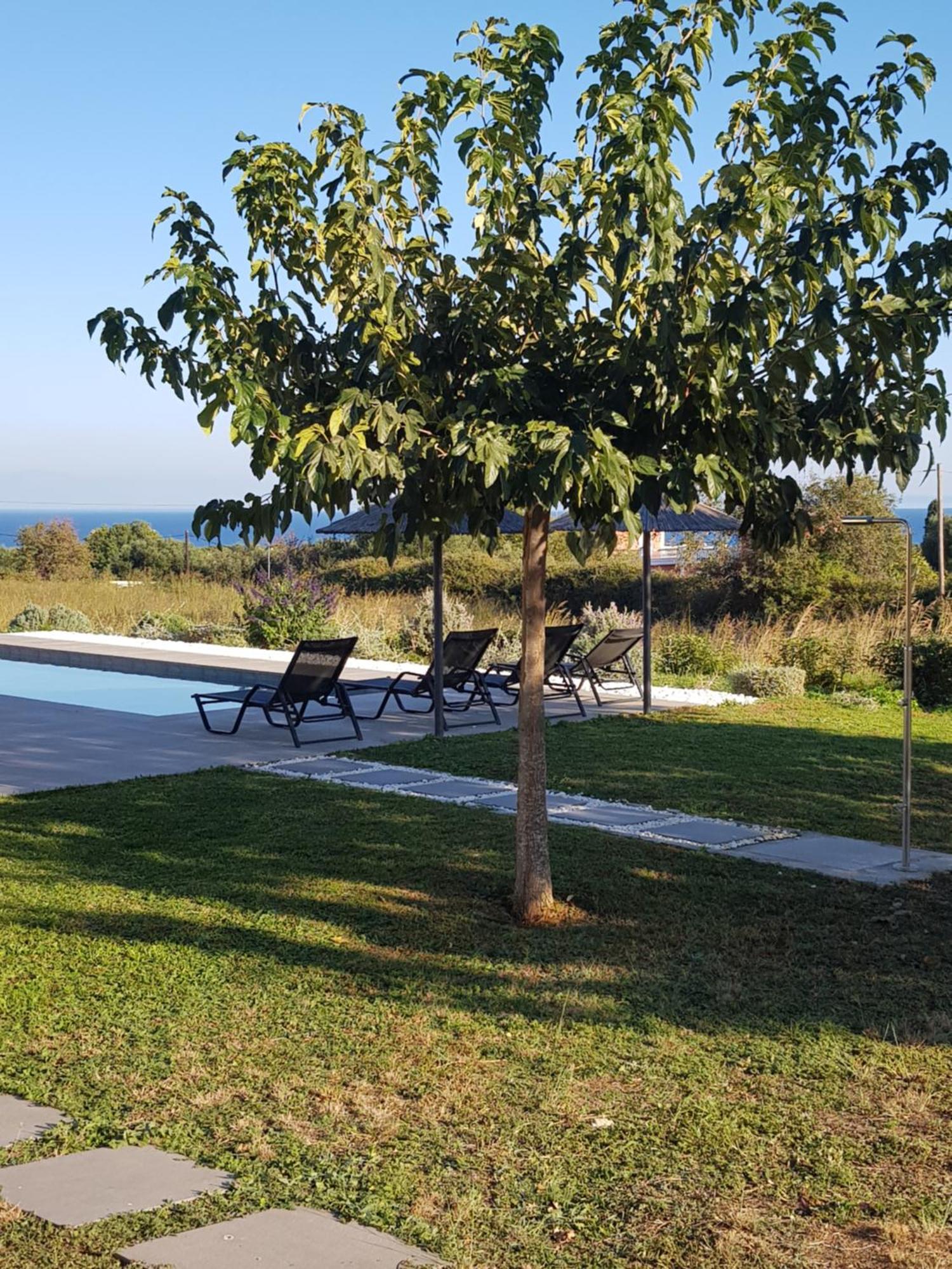 Alberi - Izla Homes Skala  Exterior photo