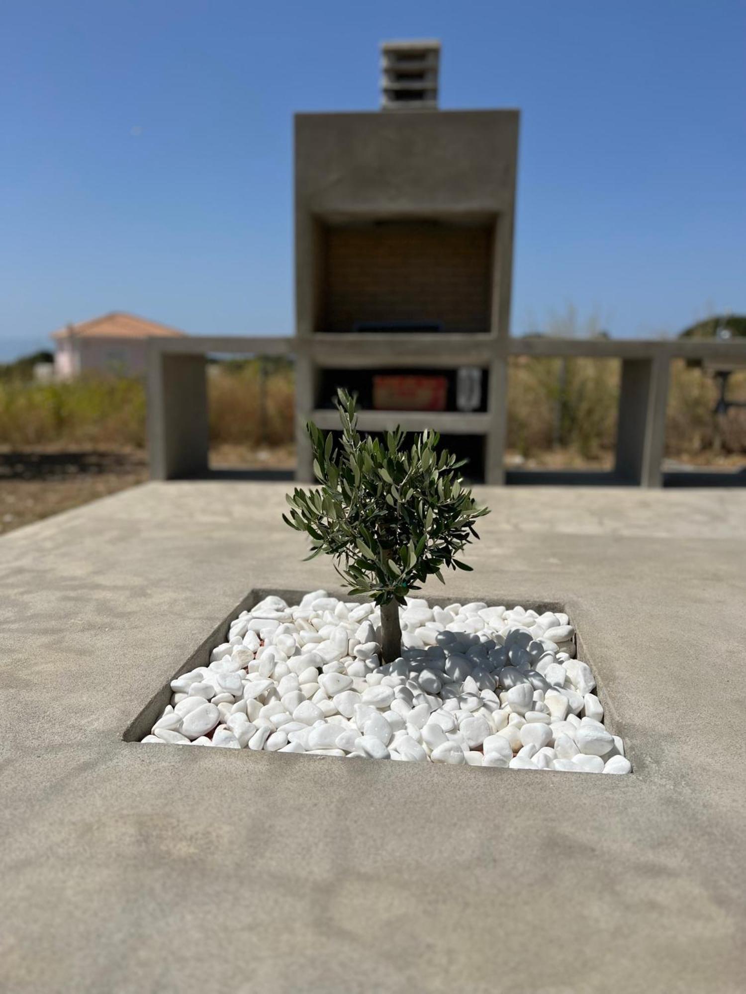 Alberi - Izla Homes Skala  Exterior photo